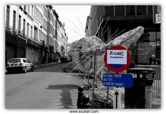 Zinneke2006_002_M_L