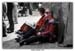 Zinneke2006_025_M_L
