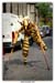 Zinneke2006_055_M_L