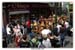 Zinneke2006_181_M_L