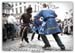 Zinneke2006_322_M_L